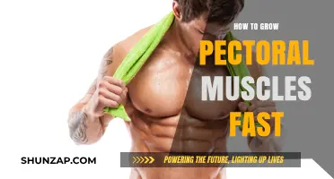 Effective Strategies for Rapid Pectoral Muscle Growth and Strength