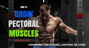 Effective Chest Workouts: Building Stronger, Bigger Pectoral Muscles Fast