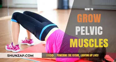 Strengthen Your Pelvic Floor: Effective Exercises for Muscle Growth and Health