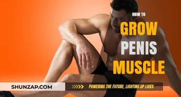 Effective Exercises to Naturally Enhance Penile Muscle Strength and Size