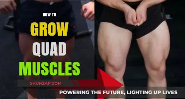 Effective Quad Muscle Growth: Proven Techniques for Stronger, Bigger Legs