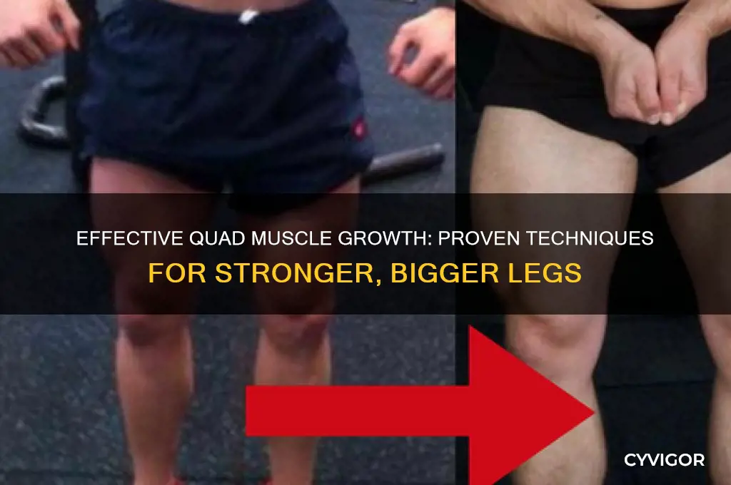 how to grow quad muscles