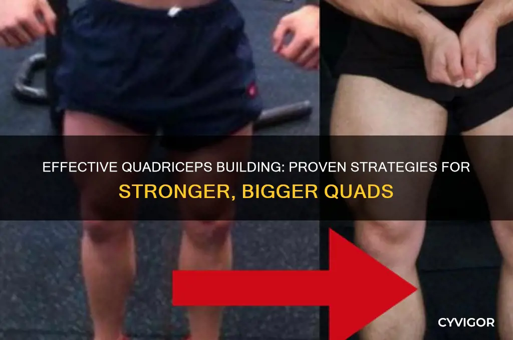 how to grow quadriceps muscle