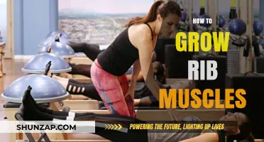 Effective Techniques to Build and Define Your Rib Muscles Fast
