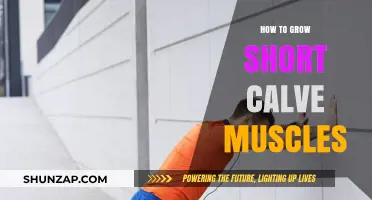 Effective Calf Muscle Growth: Short Exercises for Stronger, Defined Legs