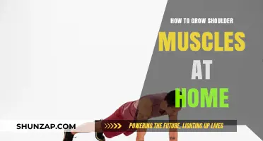 Effective Home Workouts to Build Stronger Shoulder Muscles Fast