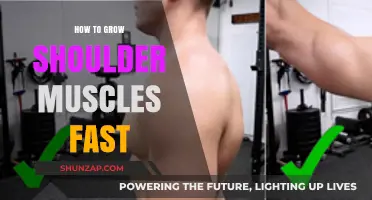 Effective Shoulder Muscle Growth: Fast-Track Tips for Strength & Size