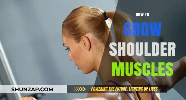 Effective Shoulder Muscle Building: Tips, Exercises, and Strategies for Growth