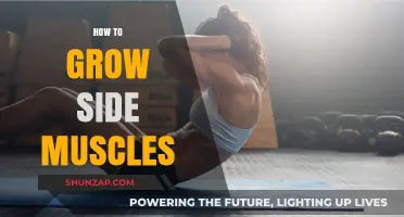 Effective Strategies to Build and Define Your Side Muscles Fast