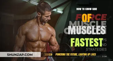 Maximize Muscle Growth: Proven Strategies for Rapid Size Gains