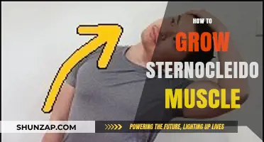 Effective Techniques to Strengthen and Grow Your Sternocleidomastoid Muscle