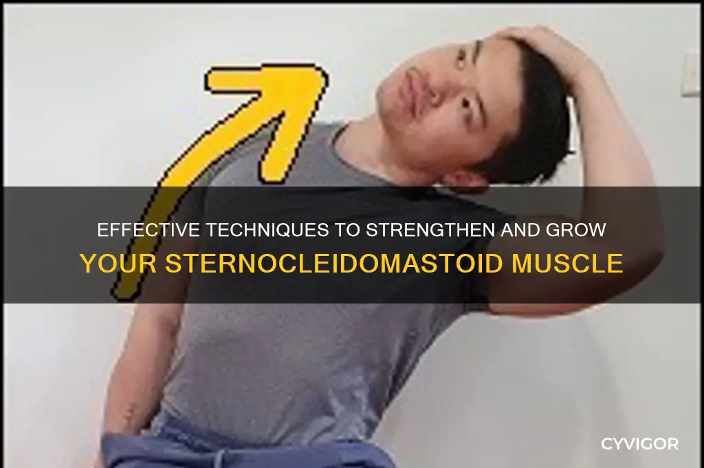 how to grow sternocleidomastoid muscle