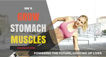 Effective Strategies to Build and Strengthen Your Stomach Muscles Fast