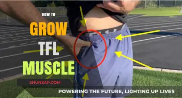 Effective Techniques to Strengthen and Grow Your TFL Muscle Safely