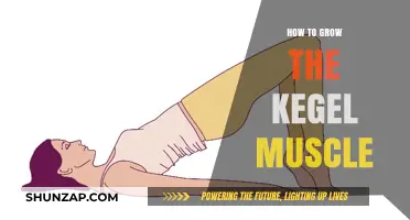 Strengthen Your Pelvic Floor: Effective Techniques to Grow Kegel Muscles
