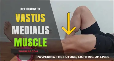 Effective Strategies to Strengthen and Grow Your Vastus Medialis Muscle
