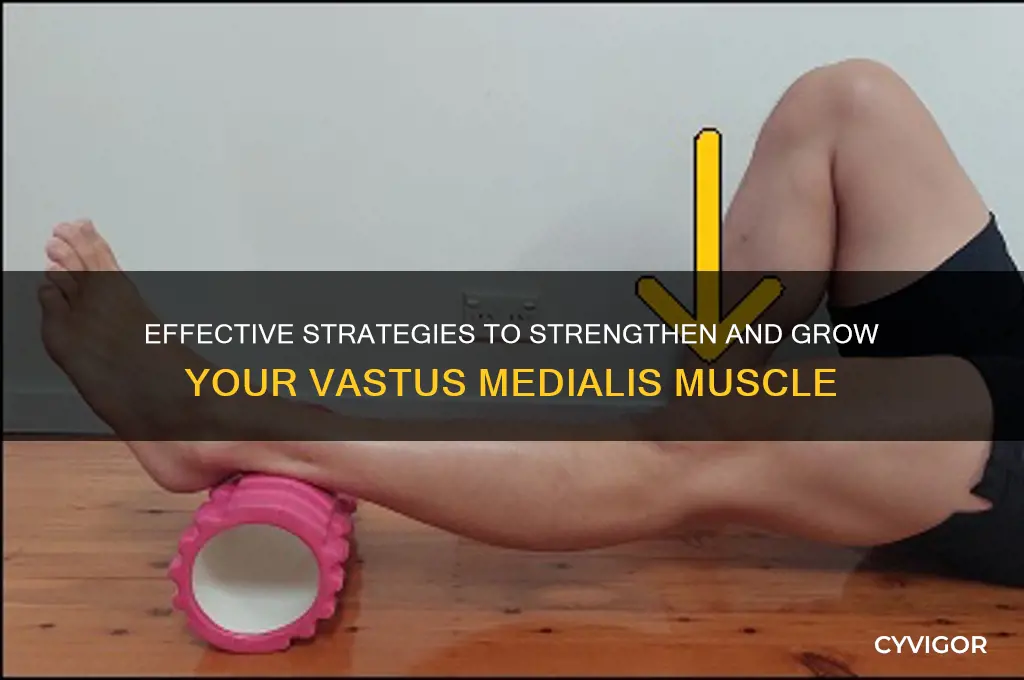 how to grow the vastus medialis muscle