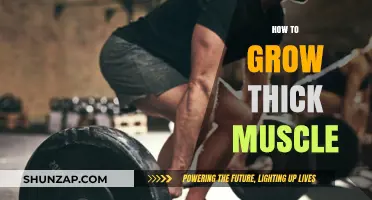 Effective Strategies for Building Thick, Powerful Muscles Naturally