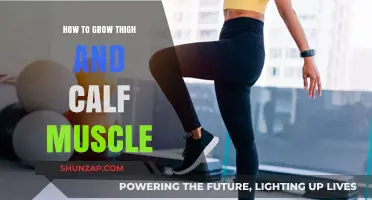 Building Strong Lower Body: Tips for Thigh and Calf Muscle Growth