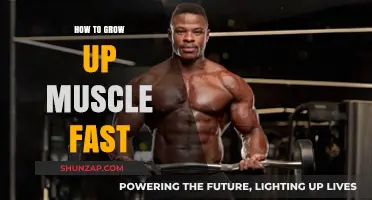 Effective Strategies for Rapid Muscle Growth: Train Smarter, Not Harder