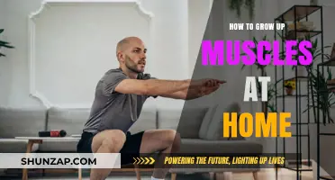 Effective Home Workouts to Build Muscle Without Gym Equipment
