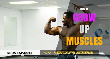 Effective Muscle Growth Strategies: Nutrition, Training, and Recovery Tips