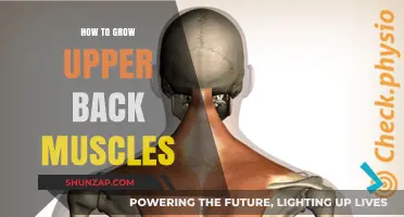 Strengthening Your Upper Back: A Comprehensive Guide to Muscle Growth