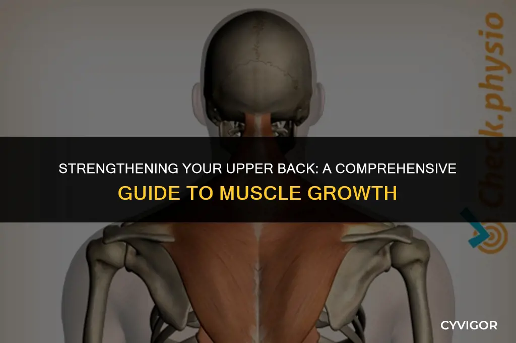 how to grow upper back muscles