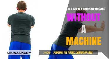 Strengthening Your Inner Calves: Machine-Free Exercises for Toned Legs