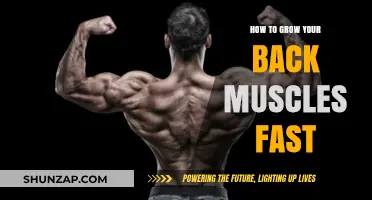 Unlocking Strength: A Guide to Rapid Back Muscle Growth