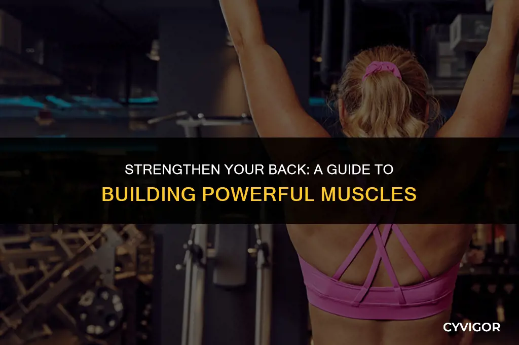 how to grow your back muscles