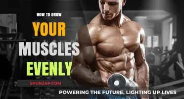 Achieve Balanced Muscle Growth: Tips for Even Physique Development
