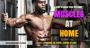 Effective Home Workouts to Build Stronger, Bigger Pectoral Muscles Fast
