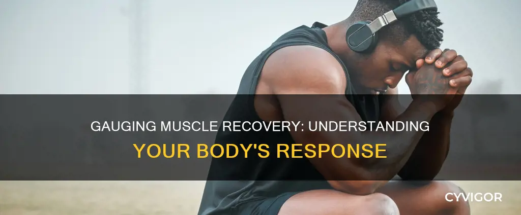 how to guage muscle recovery