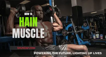 Building Muscle: Effective Strategies for Gaining Results
