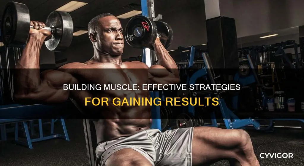 how to hain muscle