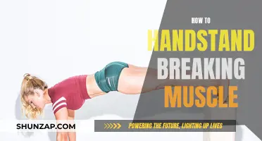 Handstand: Breaking the Muscle Memory Barrier