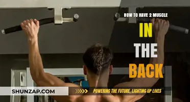 Building a Strong Back: The Ultimate Guide to Developing Your Latissimus Dorsi Muscles