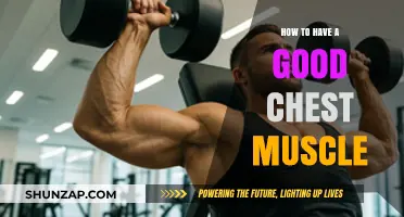 Build a Strong, Defined Chest: Effective Workouts and Tips