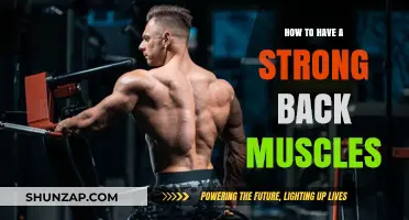 Building a Mighty Back: Your Guide to Stronger Muscles