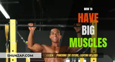 Building Big Muscles: Effective Strategies for Maximum Results