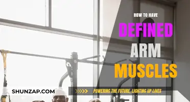 Sculpt Strong, Toned Arms: Effective Workouts for Defined Muscles