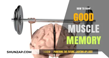 Mastering Muscle Memory: Techniques for Consistent Performance and Skill Retention