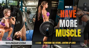 Building Muscle: Strategies for Strength and Growth