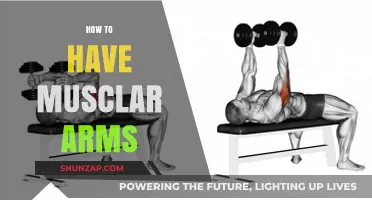Sculpt Strong Arms: Effective Workouts and Tips for Muscular Definition