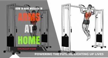 Build Strong Arm Muscles at Home: Effective Workouts and Tips