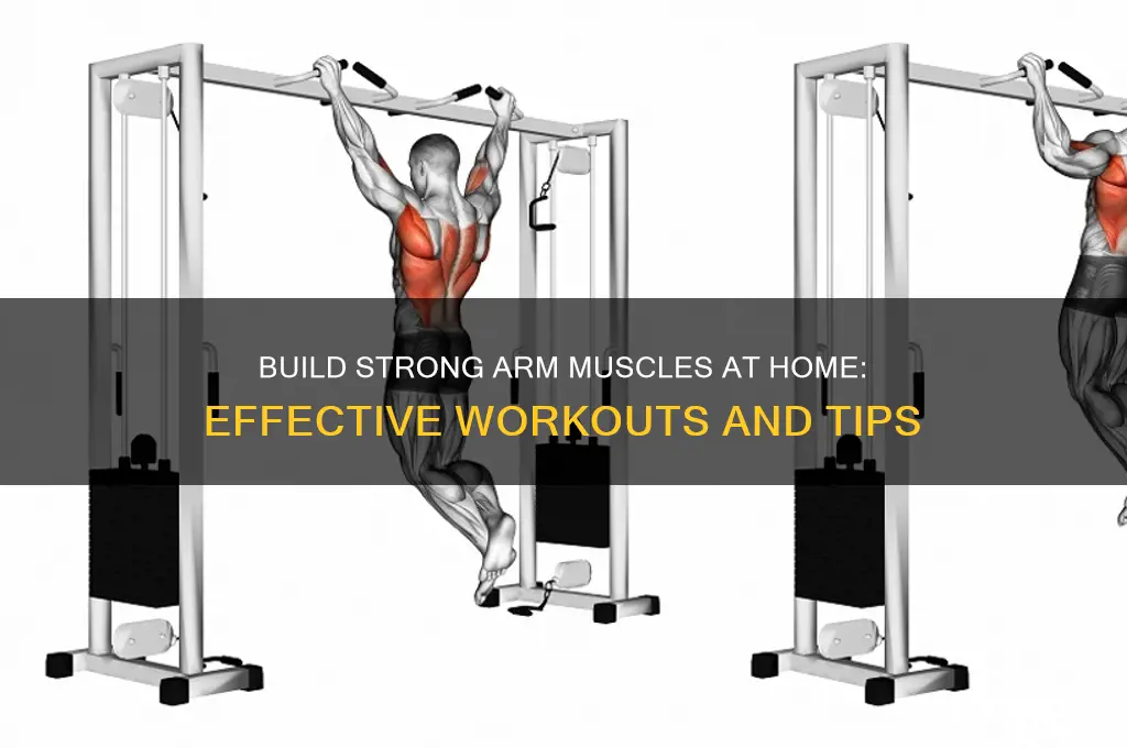 how to have muscles in arms at home