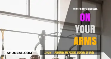 Build Strong Arm Muscles: Effective Workouts and Tips for Toned Arms