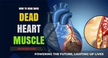 Reviving Life: Strategies to Heal and Restore Dead Heart Muscle