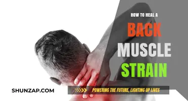 Effective Ways to Heal a Back Muscle Strain